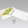 Cartes Postales Uniques – Image 5