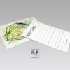 Cartes Postales Uniques – Image 11